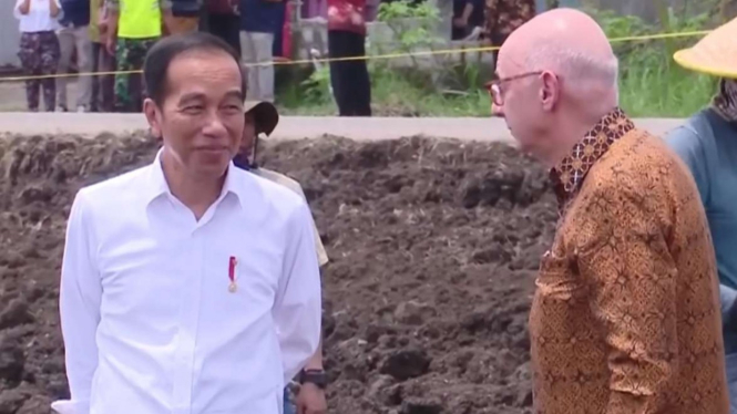 Presiden Jokowi saat menanam Tebu.