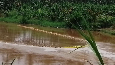 Sampah dijaring di Sungai Cisadane, Tangerang.