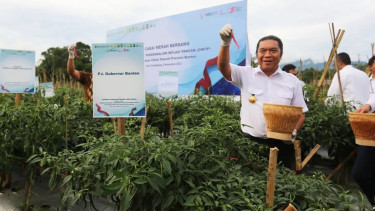 Penjabat (Pj) Gubernur Banten, Al Muktabar