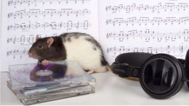 Ilustrasi musik dan tikus.