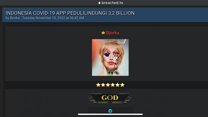 Bjorka jual data yang diklaim dari aplikasi PeduliLindungi.