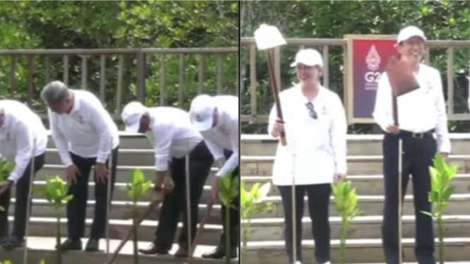 Presiden Jokowi ajak pemimpin dunia menanam mangrove