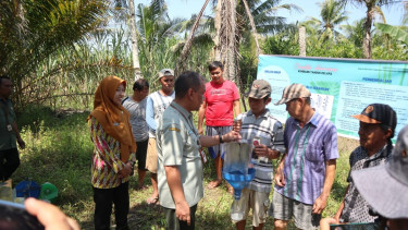 Diseminasi dan Penerapan Teknologi Pengelolaan OPT Tanaman Perkebunan