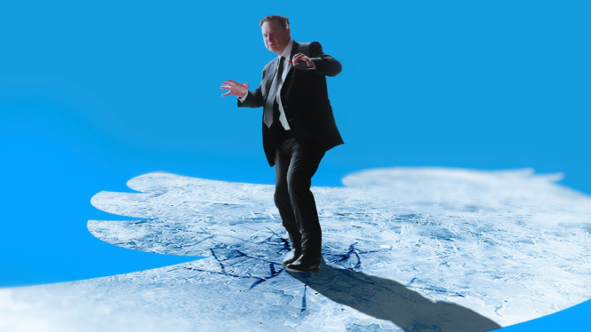 CEO Twitter Elon Musk.