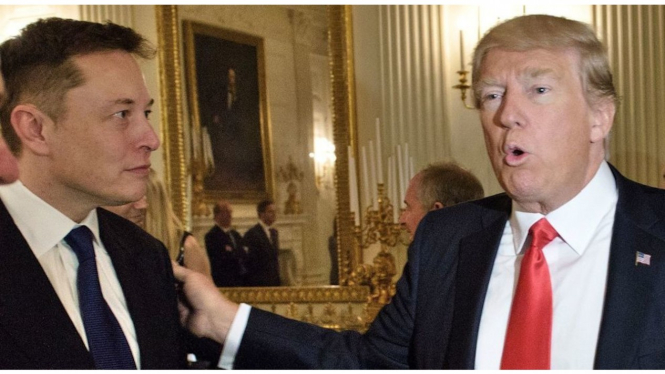 CEO Twitter Elon Musk dan Donald Trump.