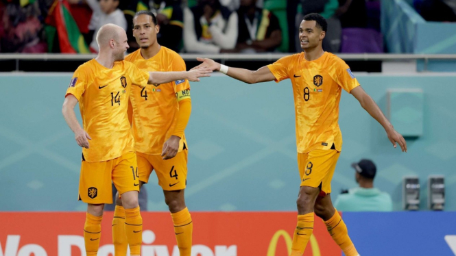 Cody Gakpo (Kanan). Hasil Duel Senegal vs Belanda