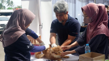 Ilustrasi pemeriksaan rabies 
