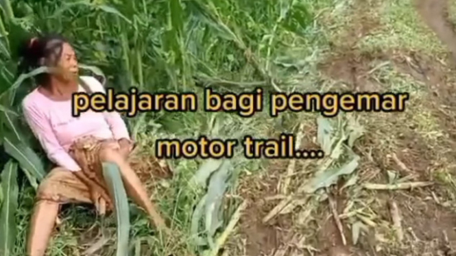 Viral Nenek Menangis Tanaman Jagungnya Tergilas Motor Trail 