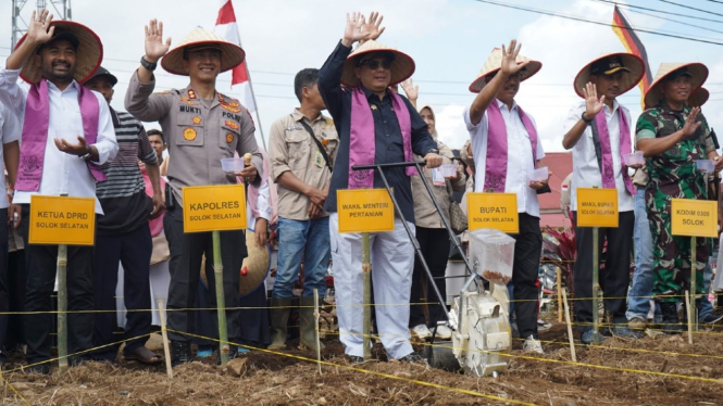 Wakil Menteri Pertanian (Wamentan), Harvick Hasnul Qolbi di Solok Selatan.
