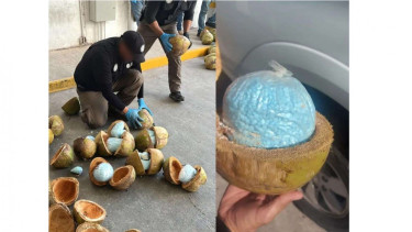 fetanil yang diseludupkan di dalam kelapa