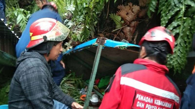 Warga dievakuasi usai tertimpa pohon besar saat asyik makan bakso.