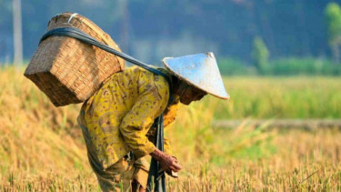 Petani Kian Tua (Sumber: kaltimkece.id)