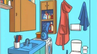Optical Illusion: Try to Spot the Headphone in This Bathroom Image