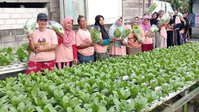 Ibu-ibu di Kaltim menanam tanaman hidroponik
