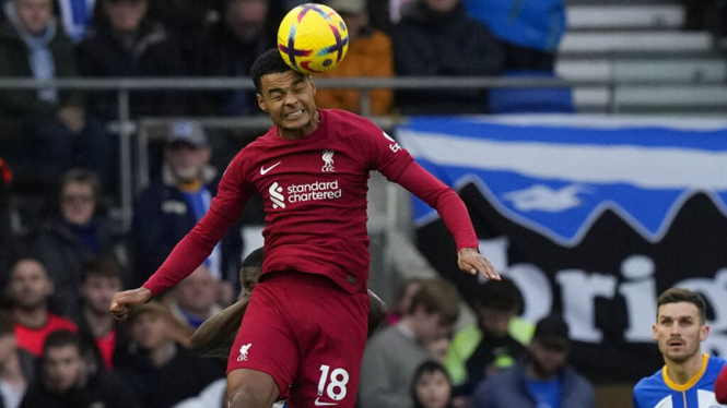 Striker Liverpool, Cody Gakpo