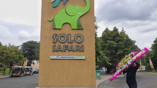 Kebun Binatang Solo Safari