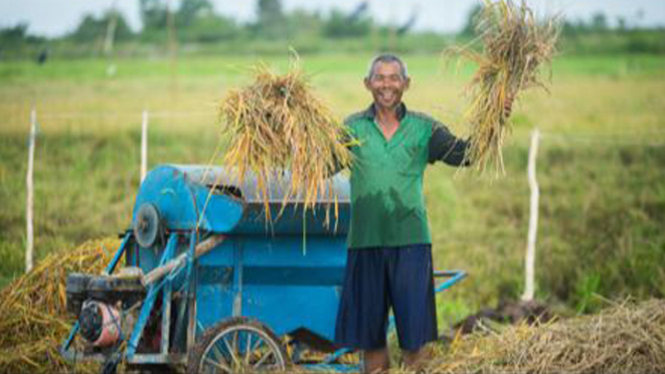 Kementan memperkuat hilirisasi pertanian di kawasan food estate