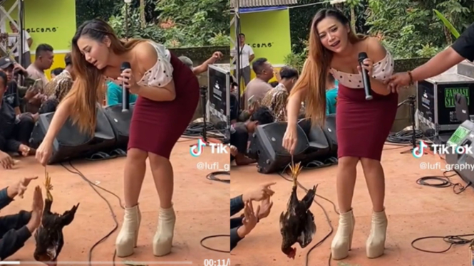 Bukan Uang, Biduan Cantik Ini Malah Disawer Ayam Hidup