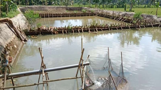 Tambak ikan