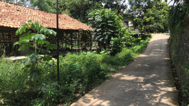 Kandang ayam di Kampung Rawa Denok, Rangkapan Jaya Baru, Pancoran Mas, Depok 