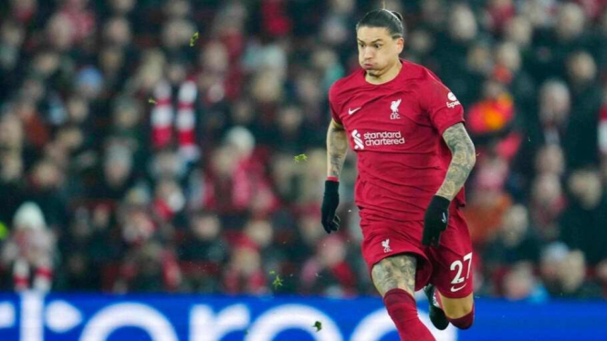 Bomber Liverpool Darwin Nunez