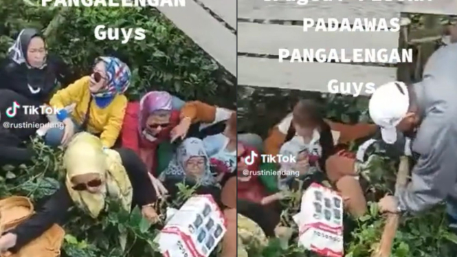 Sejumlah emak-emak terperosok ke perkebunan teh di Pesona Padaawas Pangalengan