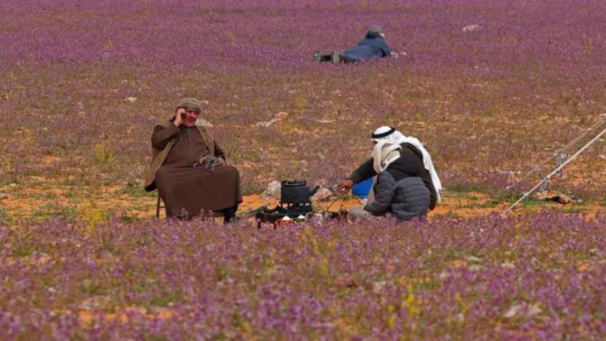 Gurun pasir di Arab Saudi.