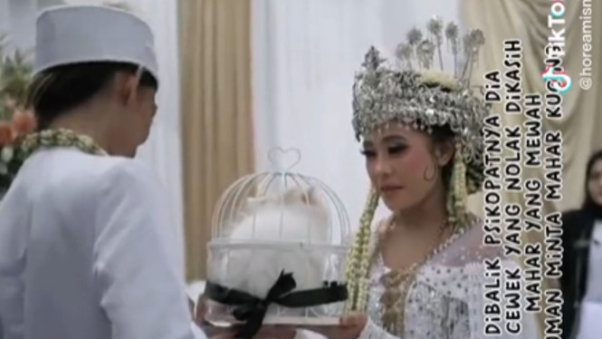 Unik, Pasangan Ini Menikah dengan Maskawin Seekor Kucing