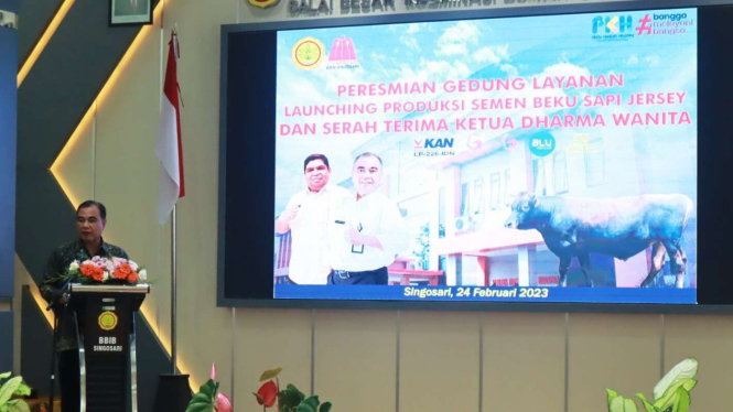 Kementan Lauching Sapi Jersey di BBIB Singosa
