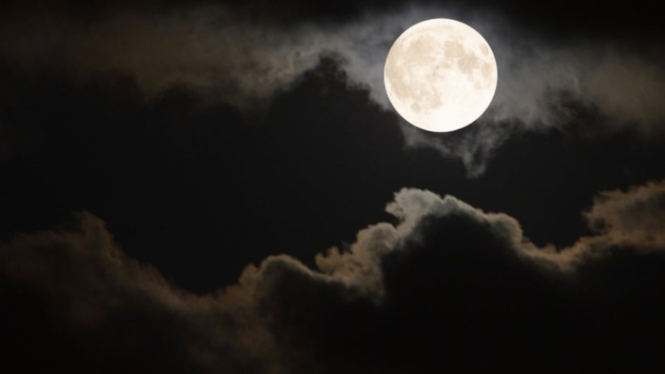 Bulan Purnama.