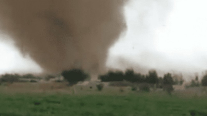Tangkapan layar video  tornado pasir besar menghantam gurun kota Taif di Arab Sa