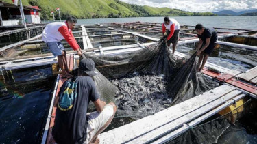 Budi daya ikan air tawar