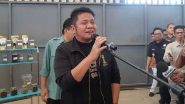 Gubernur Sumatera Selatan, Herman Deru