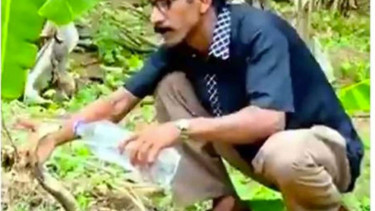Orang Beri Minum Air Ular Kobra Besar 