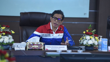 Wakil Komisaris Utama Pertamina, Pahala Mansury