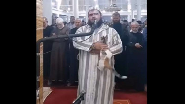 Imam salat di Algeria membiarkan kucing melompat di tubuhnya saat memimpin salat