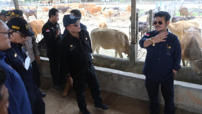 Mentan SYL dorong Provinsi Sulsel jadi sentra penghasil sapi potong berkualitas