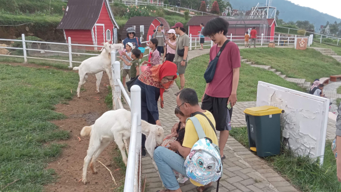 Suasana di Little Ranch Umbul Sidomukti Semarang.