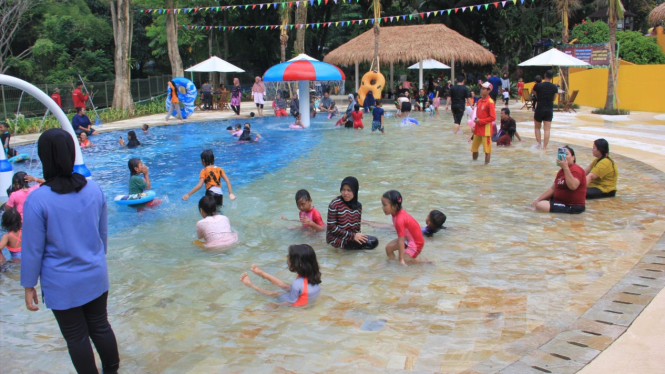 The Jungle Beach