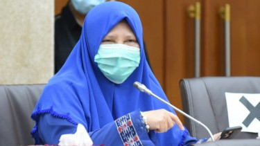 Anggota Komisi VI DPR RI, Nevi Zuairina