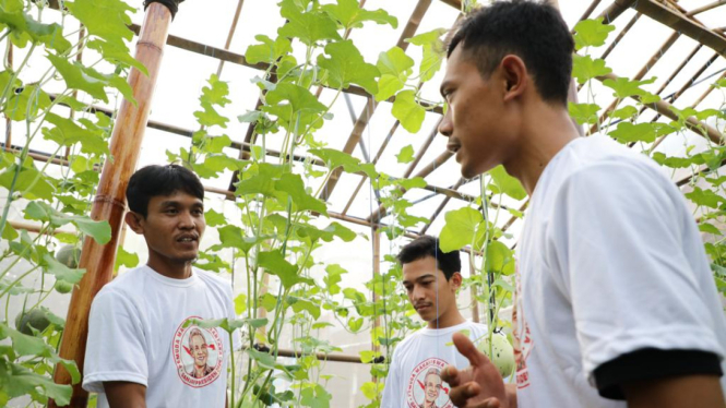 Milenial di Perkotaan antusias ikut pelatihan bertani