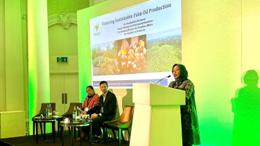 Kementan Hadiri Amsterdam Declarations Partnership (ADP) Meeting