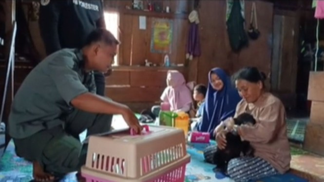 Polisi Hutan (Polut) mengamankan seekor anak beruang yang dipelihara warga