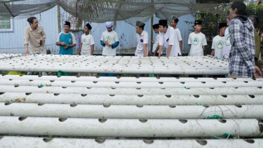 Santri di Kaltim diajarkan bercocok tanam hidroponik