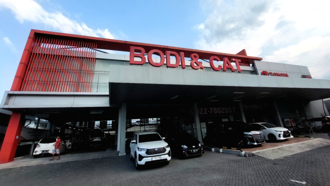 Auto2000 Bodi & Cat