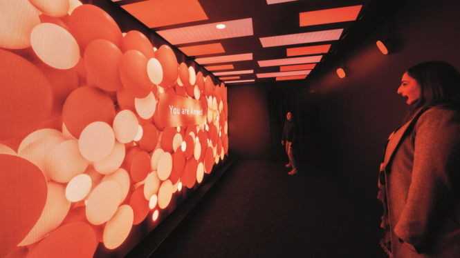 Festival kreatif Vivid Sydney.