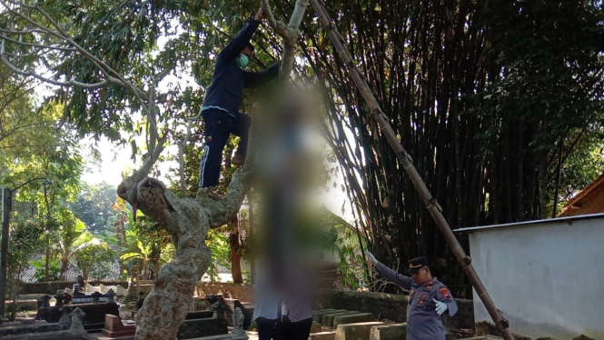 Mayat pria gantung diri di atas pohon area pemakaman Klaten