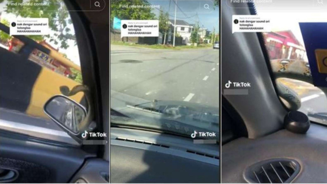 Penumpang Histeris Melihat Ular Merayap di Kaca Mobil 