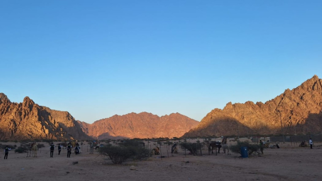 Jabal Magnet