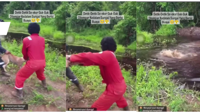 2 Pria Lempar Anjing ke Sungai yang Berisi Buaya Buas